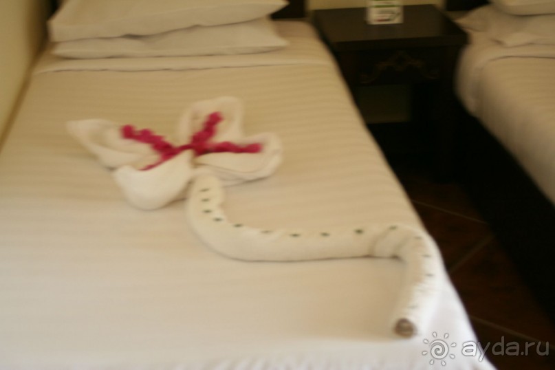 фото Triton Sea Beach Resort (ex.Holiday Beach Resort Marsa Alam)