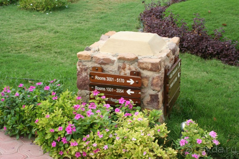 фото The Three Corners Fayrouz Plaza Beach Resort