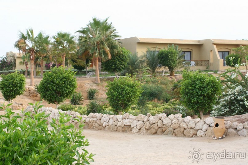 фото The Three Corners Fayrouz Plaza Beach Resort