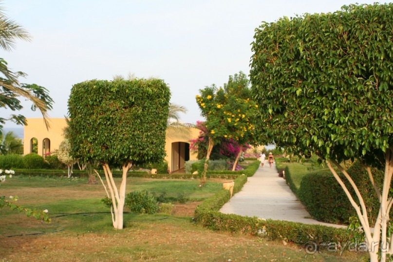 фото The Three Corners Fayrouz Plaza Beach Resort