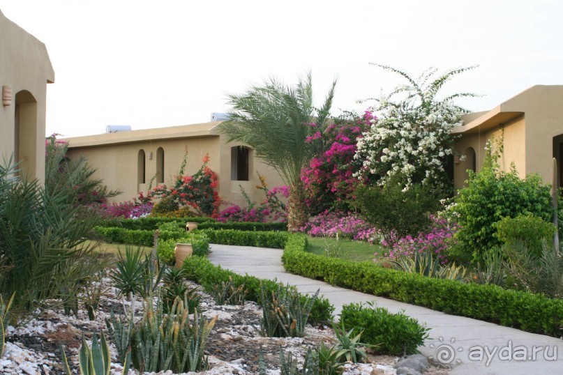 фото The Three Corners Fayrouz Plaza Beach Resort