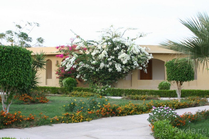 фото The Three Corners Fayrouz Plaza Beach Resort