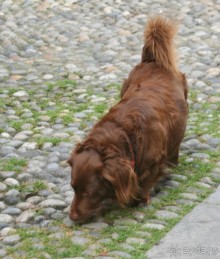 По Европе. Часть 5. Сан-Ремо. 