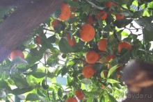 По Европе. Часть 5. Сан-Ремо. 