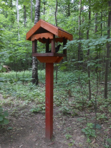 Прогулки по парку