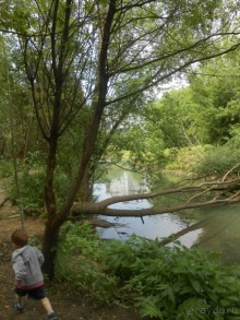 Прогулки по парку