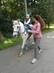 Прогулки по парку