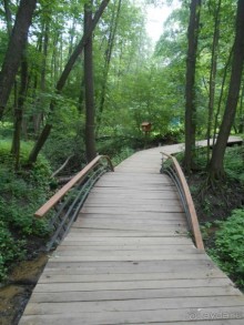 Прогулки по парку