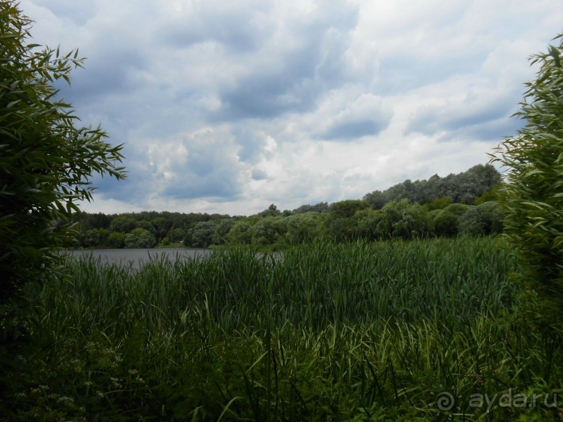 Прогулки по парку