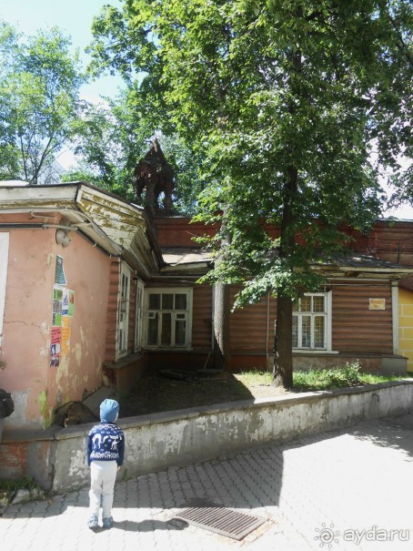 Прогулки по парку