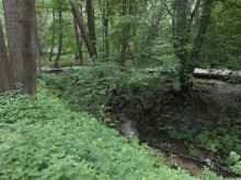 Прогулки по парку