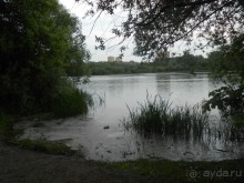 Прогулки по парку