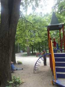 Прогулки по парку