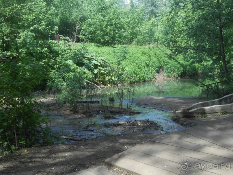 Прогулки по парку