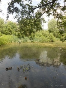 Прогулки по парку