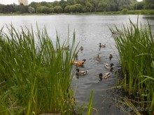 Прогулки по парку