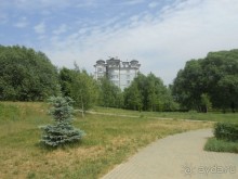 Прогулки по парку