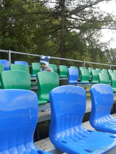 Прогулки по парку