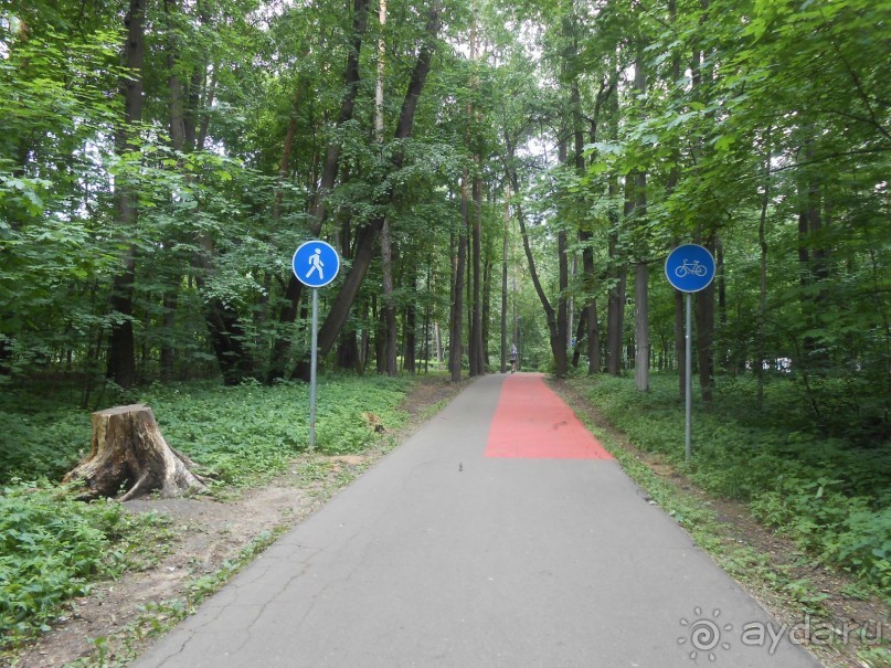 Прогулки по парку