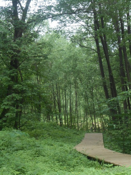 Прогулки по парку