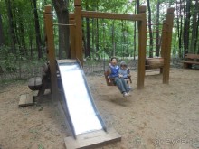 Прогулки по парку