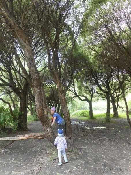 Прогулки по парку