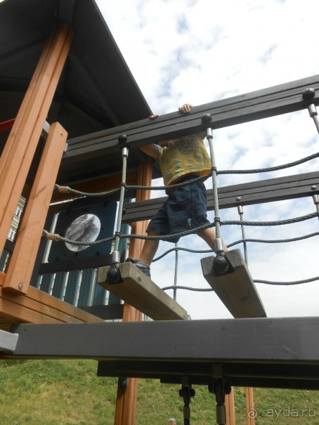 Прогулки по парку