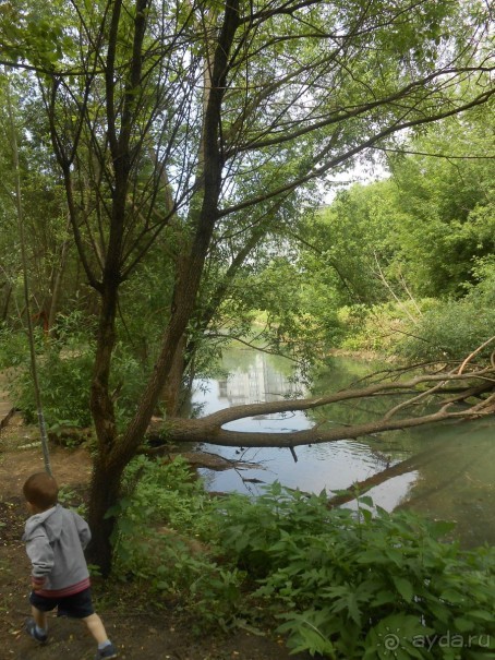 Прогулки по парку