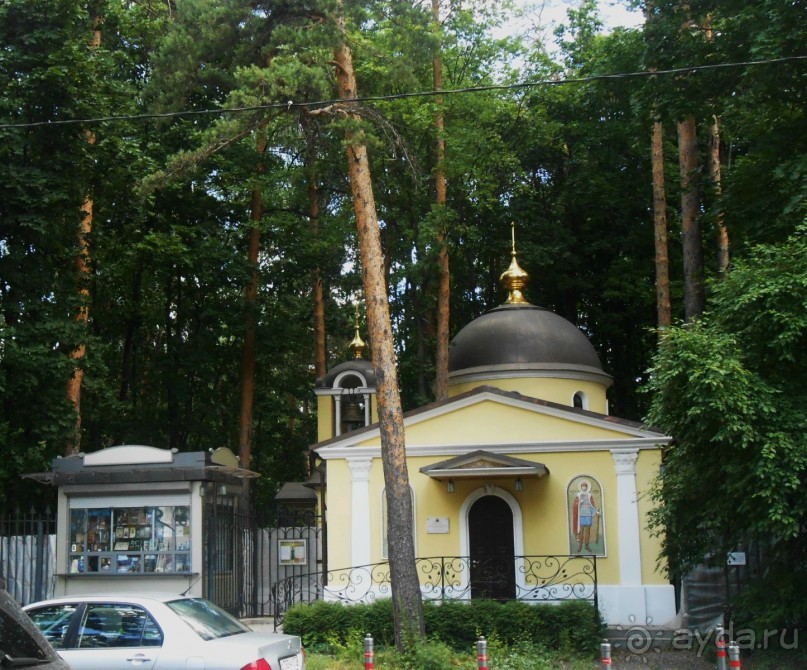 Прогулки по парку