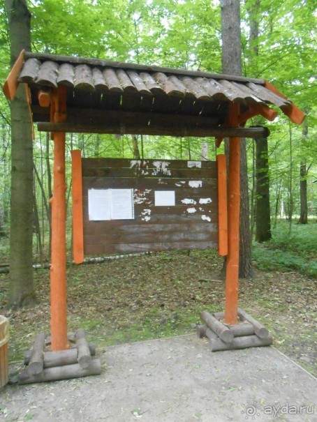 Прогулки по парку