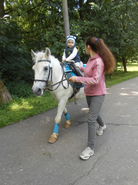 Прогулки по парку