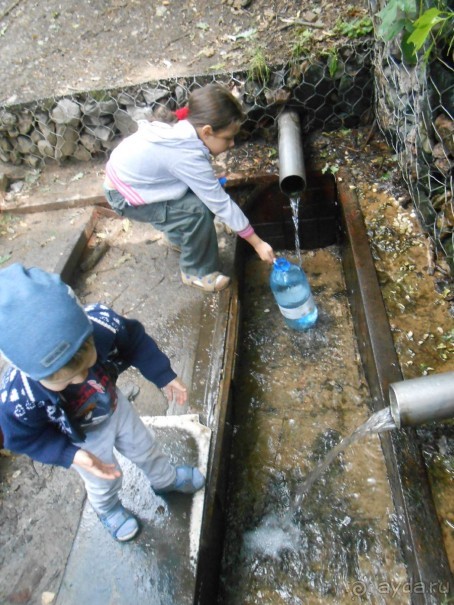 Прогулки по парку