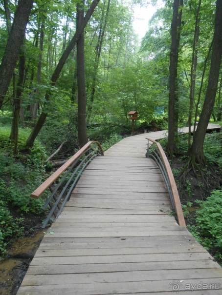 Прогулки по парку