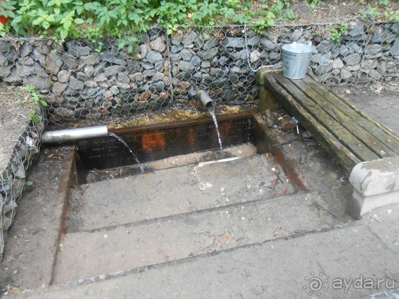 Прогулки по парку