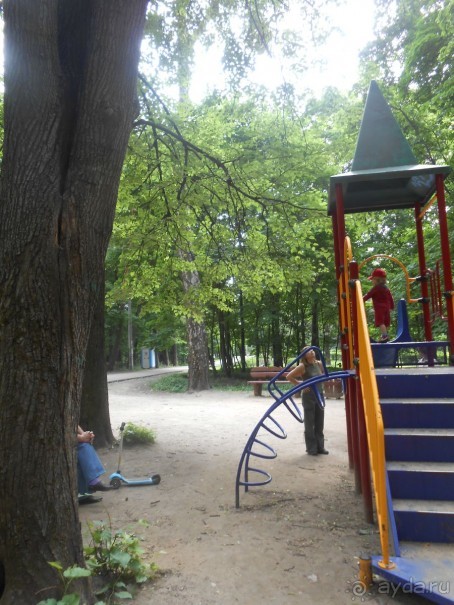 Прогулки по парку