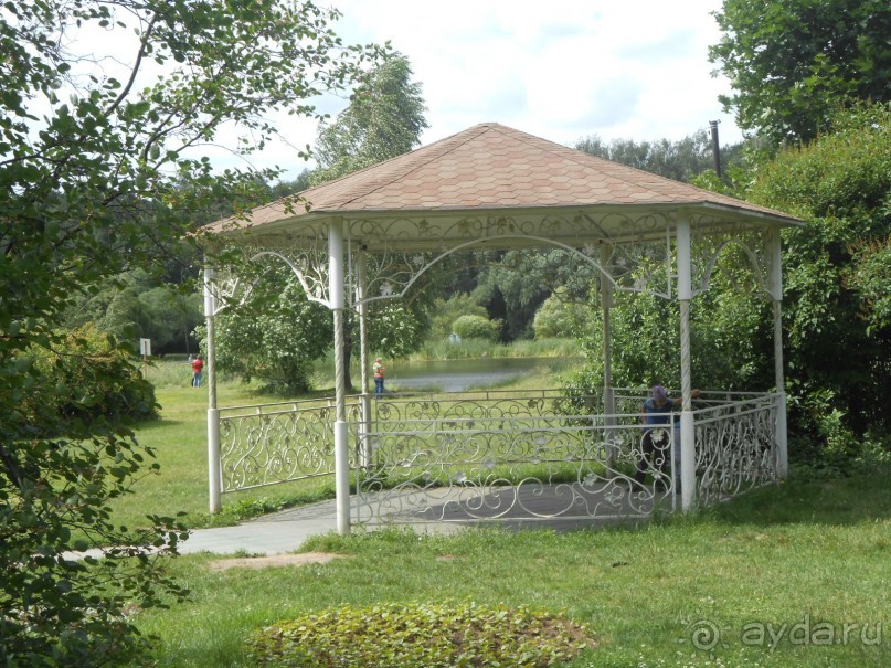 Прогулки по парку