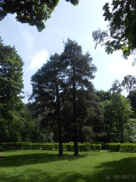 Прогулки по парку