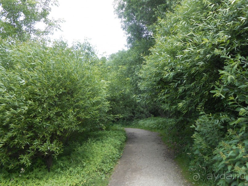 Прогулки по парку