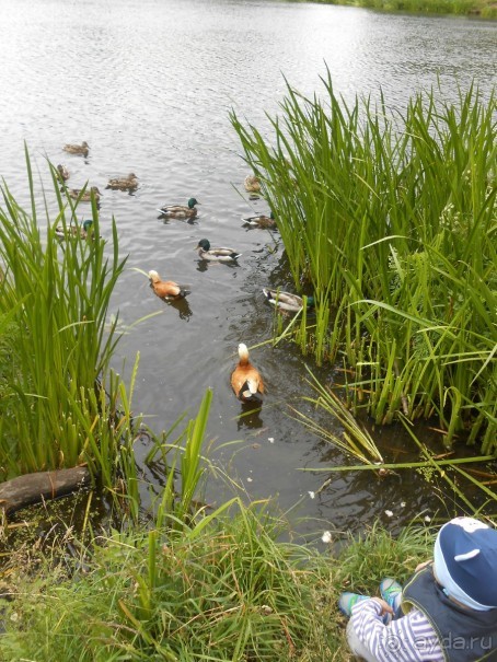 Прогулки по парку