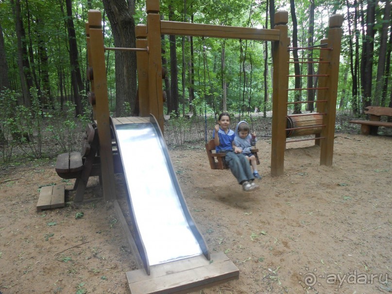 Прогулки по парку