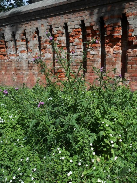 Прогулки по парку