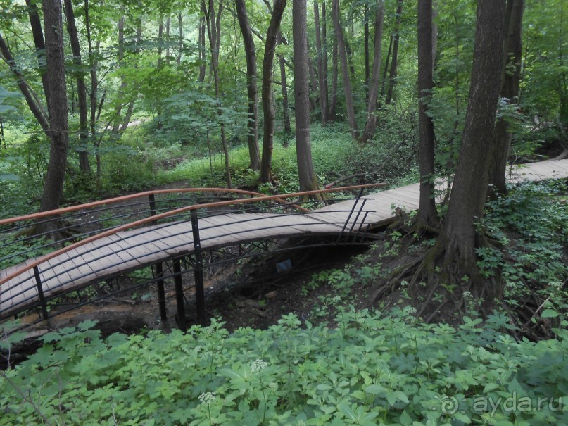 Прогулки по парку