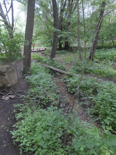 Прогулки по парку