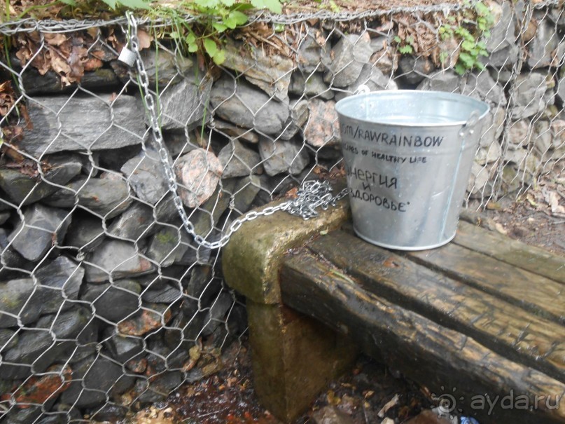 Прогулки по парку