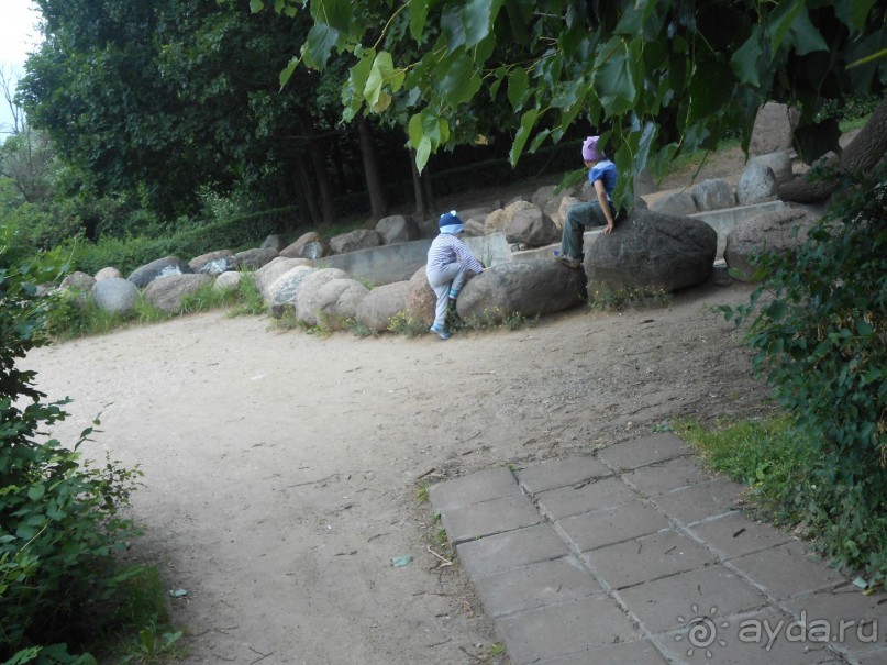 Прогулки по парку