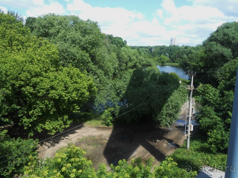 Прогулки по парку