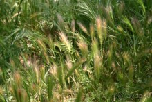 Каламбака и Метеоры.