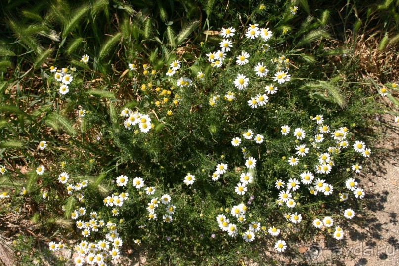 Каламбака и Метеоры.