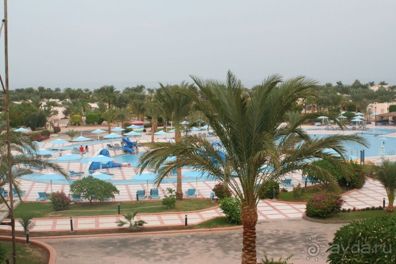 фото Pharaoh Azur Resort 