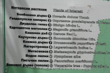 ислам и христианство в саду королевы Марии